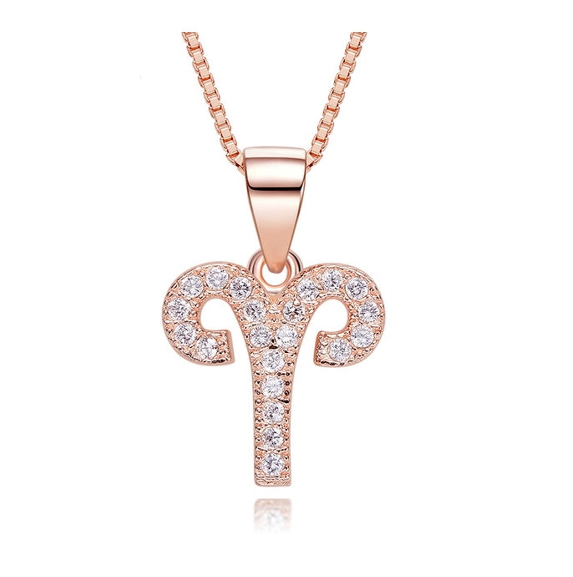 Zodiac Jewelry: Silver Sun Sign Necklace with Pendant. Birth Sign Pendant. WickedYo